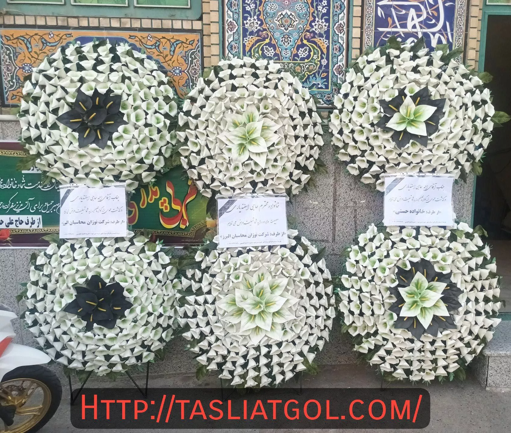 تاج گل ارزان درکرج